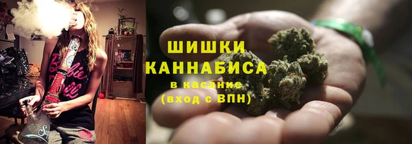 прущие грибы Арсеньев