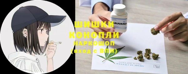 прущие грибы Арсеньев
