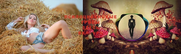 кокаин колумбия Аркадак