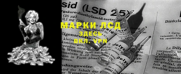 прущие грибы Арсеньев