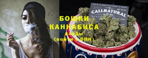 прущие грибы Арсеньев