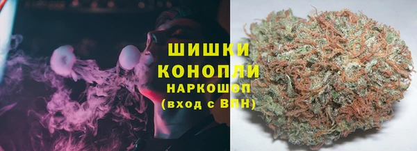 прущие грибы Арсеньев