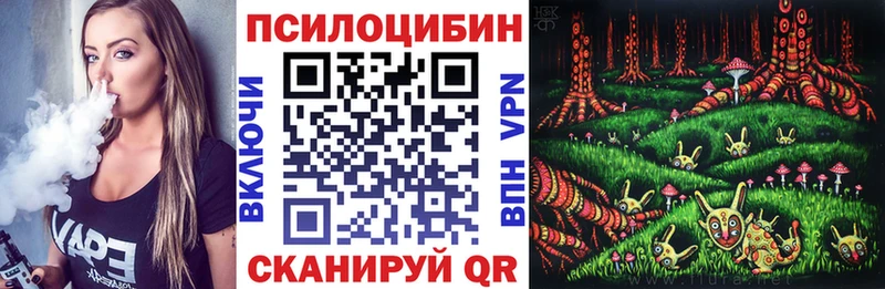 Галлюциногенные грибы Psilocybine cubensis  магазин продажи наркотиков  Саяногорск 